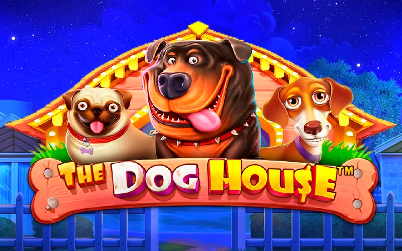 Try your luck with The Dog House game at Velobet Casino.