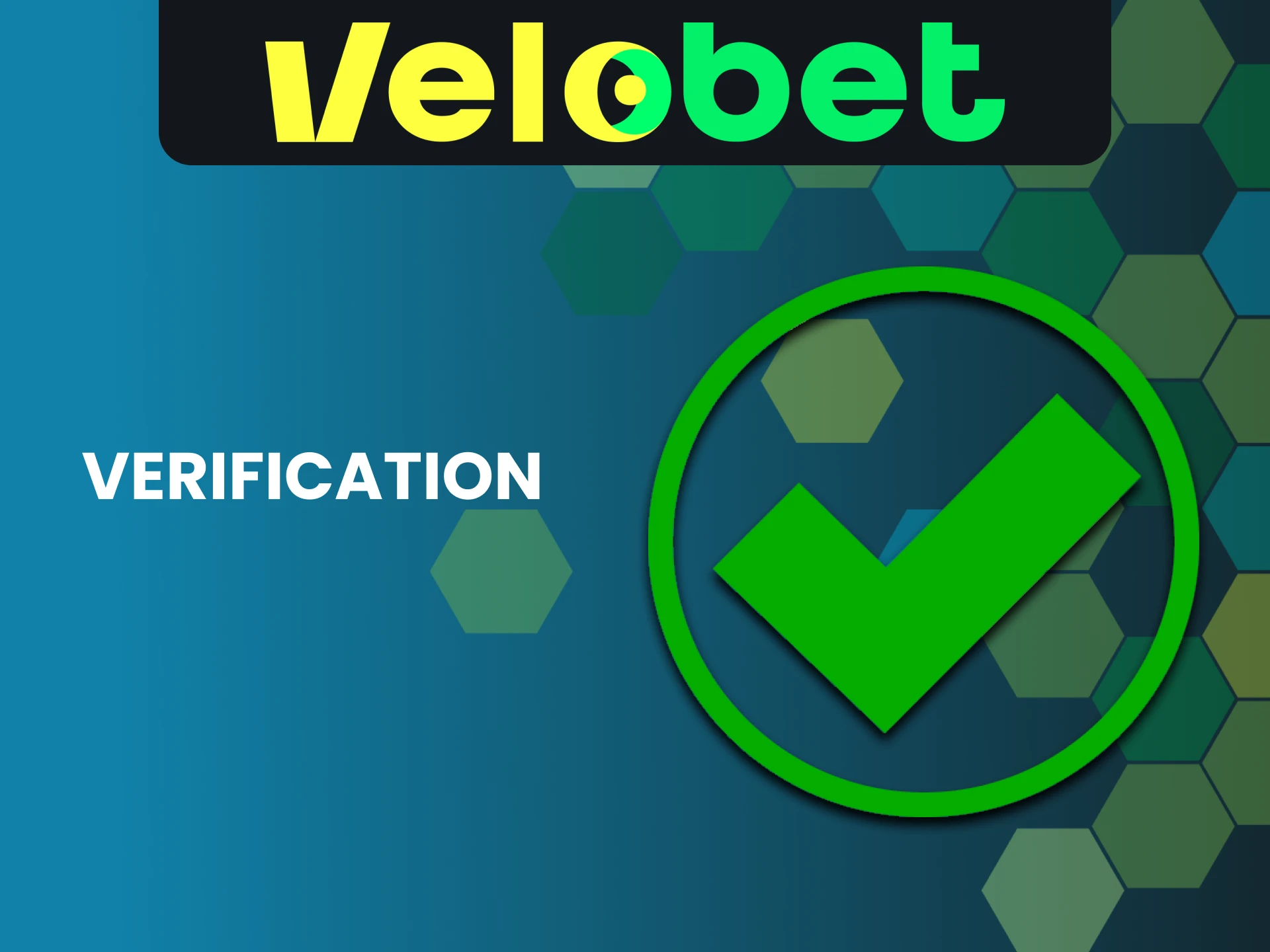 Fill in all the necessary data for the Velobet website.