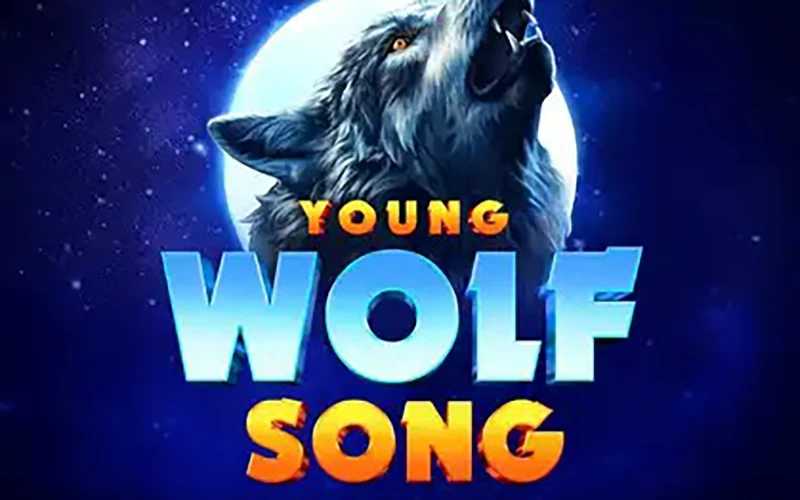 High payouts and big multipliers are all about the Young Wolf Song game from 1Win casino.