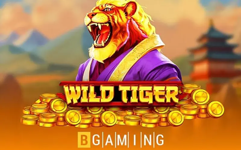 Buy bonus games at Wild Tiger from 4Rabet Casino.