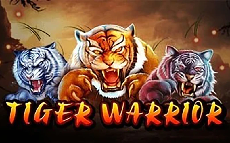 You can get the most precious emotions in the Tiger Warriors game from Babu88 Casino.