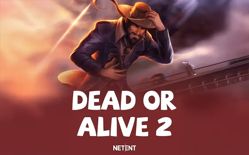 Play the most lucrative Dead or Alive 2 game from BC Game Casino.