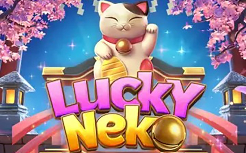 Increase your balance at Mostbet Casino by playing Lucky Neko.